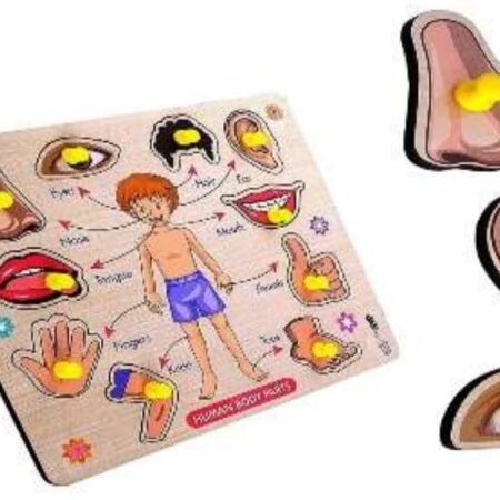 Body Parts Pegboard
