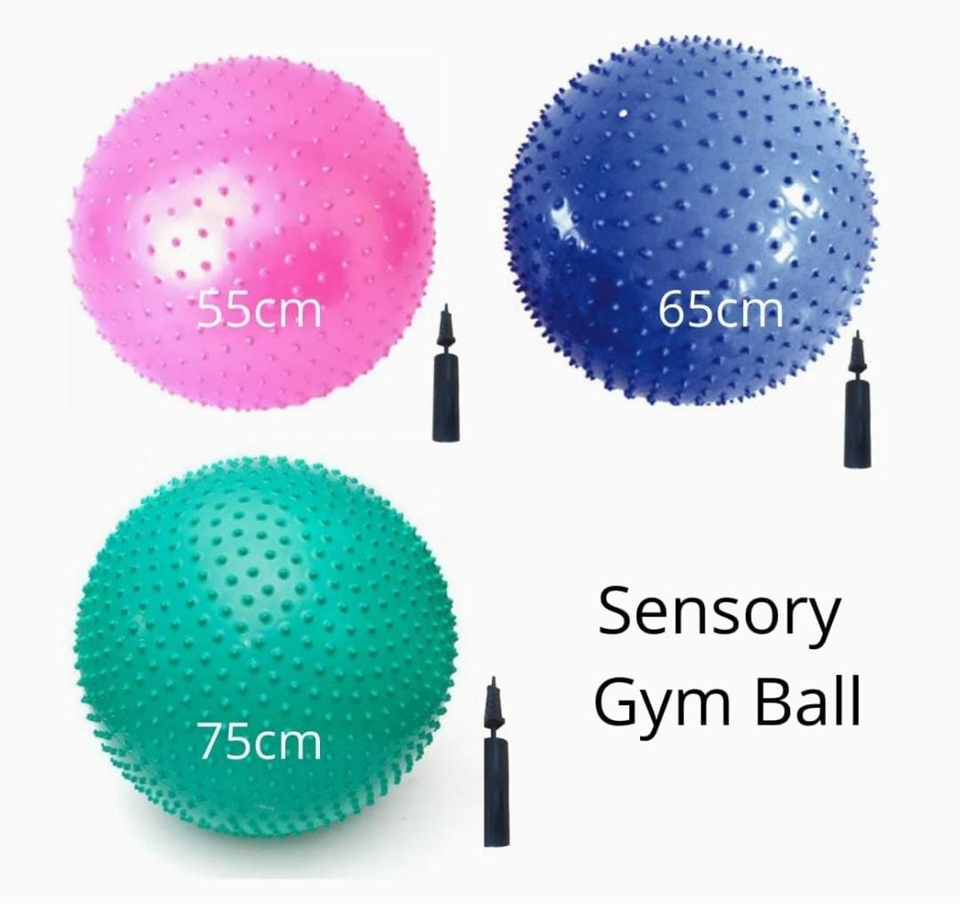 Sensory Gym Ball