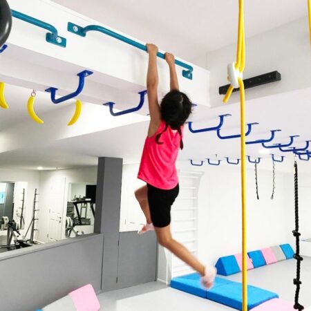 Ninja bars